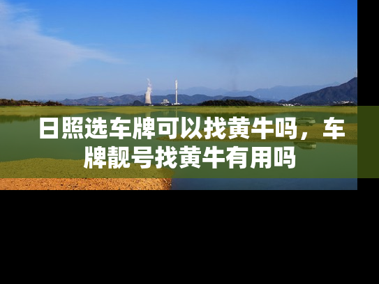 日照选车牌可以找黄牛吗，车牌靓号找黄牛有用吗