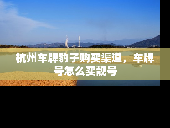 杭州车牌豹子购买渠道，车牌号怎么买靓号