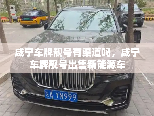 咸宁车牌靓号有渠道吗,咸宁车牌靓号出售新能源车-第2张图片-七号汽车选号 咸宁车牌靓号有渠道吗,咸宁车牌靓号出售新能源车-第2张图片-七号汽车选号