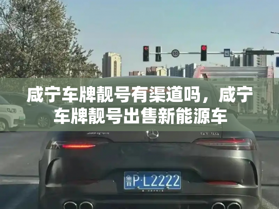 咸宁车牌靓号有渠道吗,咸宁车牌靓号出售新能源车-第3张图片-七号汽车选号 咸宁车牌靓号有渠道吗,咸宁车牌靓号出售新能源车-第3张图片-七号汽车选号