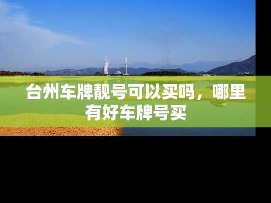 台州车牌靓号可以买吗，哪里有好车牌号买