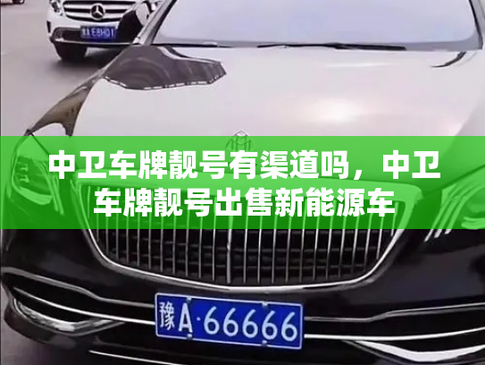 中卫车牌靓号有渠道吗,中卫车牌靓号出售新能源车-第2张图片-七号汽车选号 中卫车牌靓号有渠道吗,中卫车牌靓号出售新能源车-第2张图片-七号汽车选号