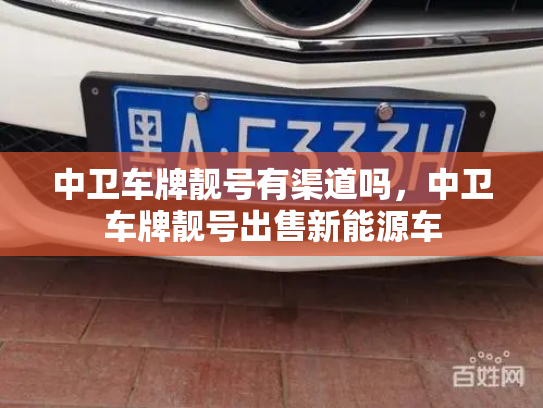 中卫车牌靓号有渠道吗,中卫车牌靓号出售新能源车-第3张图片-七号汽车选号 中卫车牌靓号有渠道吗,中卫车牌靓号出售新能源车-第3张图片-七号汽车选号