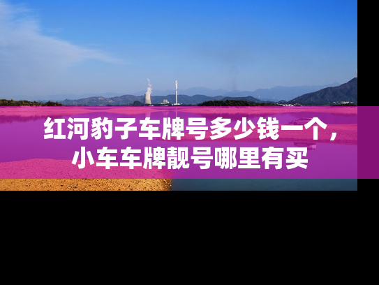 红河豹子车牌号多少钱一个，小车车牌靓号哪里有买