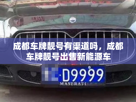 成都车牌靓号有渠道吗，成都车牌靓号出售新能源车-第3张图片-七号汽车选号