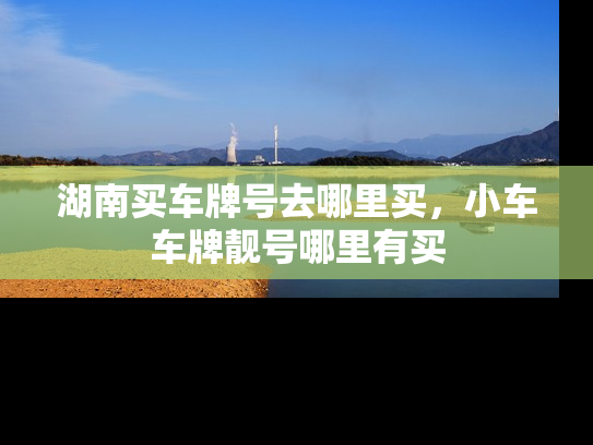 湖南买车牌号去哪里买，小车车牌靓号哪里有买