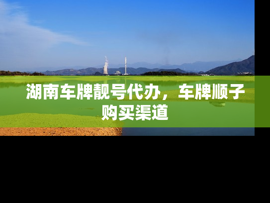 湖南车牌靓号代办，车牌顺子购买渠道