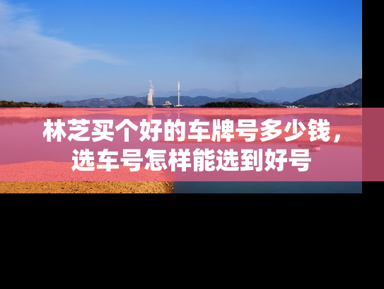 林芝买个好的车牌号多少钱，选车号怎样能选到好号