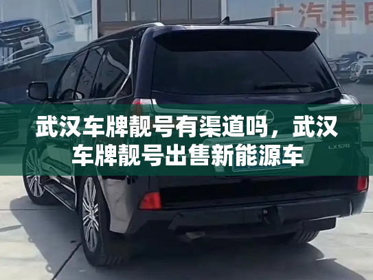 武汉车牌靓号有渠道吗，武汉车牌靓号出售新能源车-第2张图片-七号汽车选号