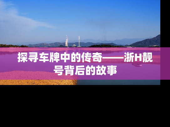 探寻车牌中的传奇——浙H靓号背后的故事
