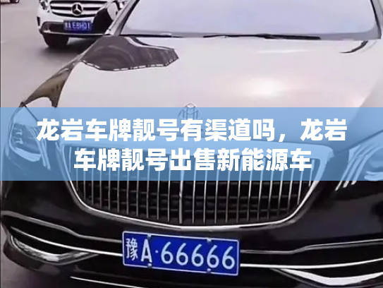 龙岩车牌靓号有渠道吗,龙岩车牌靓号出售新能源车-第2张图片-七号汽车选号 龙岩车牌靓号有渠道吗,龙岩车牌靓号出售新能源车-第2张图片-七号汽车选号