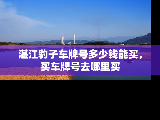 湛江豹子车牌号多少钱能买，买车牌号去哪里买