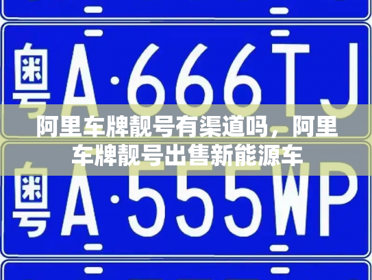 阿里车牌靓号有渠道吗，阿里车牌靓号出售新能源车-第3张图片-七号汽车选号