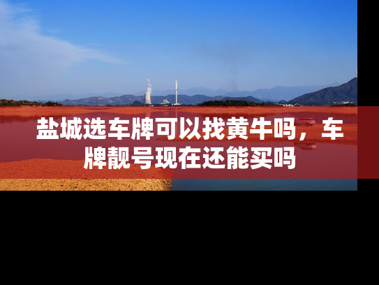 盐城选车牌可以找黄牛吗，车牌靓号现在还能买吗