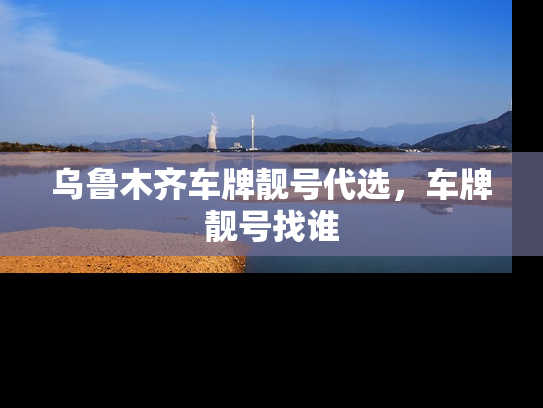 乌鲁木齐车牌靓号代选，车牌靓号找谁