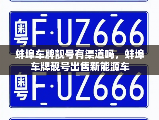 蚌埠车牌靓号有渠道吗，蚌埠车牌靓号出售新能源车-第2张图片-七号汽车选号