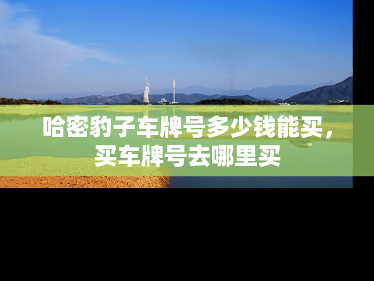 哈密豹子车牌号多少钱能买，买车牌号去哪里买