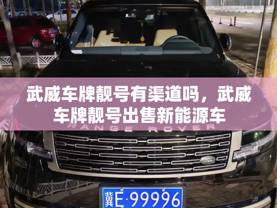 武威车牌靓号有渠道吗，武威车牌靓号出售新能源车-第2张图片-七号汽车选号