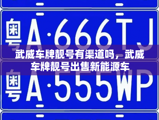 武威车牌靓号有渠道吗，武威车牌靓号出售新能源车-第3张图片-七号汽车选号