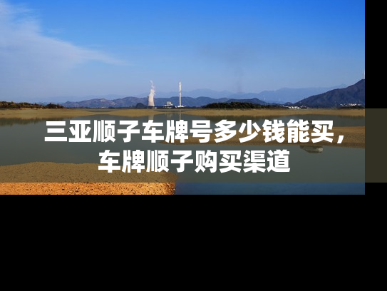 三亚顺子车牌号多少钱能买，车牌顺子购买渠道