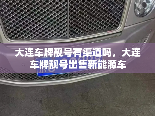 大连车牌靓号有渠道吗，大连车牌靓号出售新能源车-第3张图片-七号汽车选号