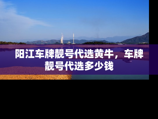 阳江车牌靓号代选黄牛，车牌靓号代选多少钱