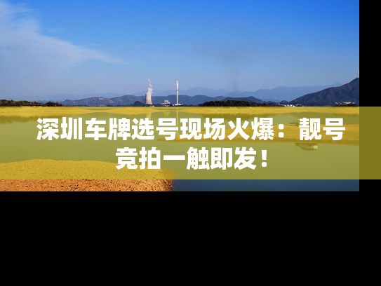 深圳车牌选号现场火爆：靓号竞拍一触即发！