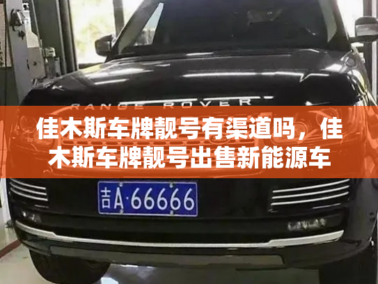 佳木斯车牌靓号有渠道吗,佳木斯车牌靓号出售新能源车-第2张图片-七号汽车选号 佳木斯车牌靓号有渠道吗,佳木斯车牌靓号出售新能源车-第2张图片-七号汽车选号