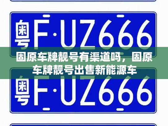 固原车牌靓号有渠道吗，固原车牌靓号出售新能源车-第2张图片-七号汽车选号