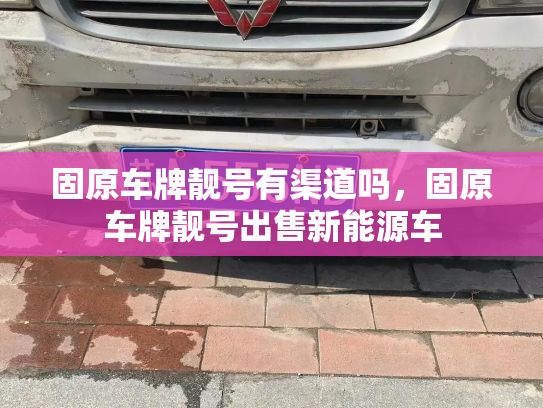 固原车牌靓号有渠道吗，固原车牌靓号出售新能源车-第3张图片-七号汽车选号