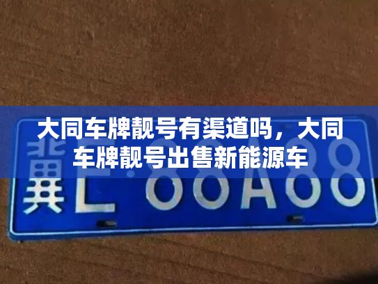 大同车牌靓号有渠道吗,大同车牌靓号出售新能源车-第3张图片-七号汽车选号 大同车牌靓号有渠道吗,大同车牌靓号出售新能源车-第3张图片-七号汽车选号