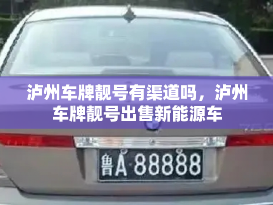 泸州车牌靓号有渠道吗，泸州车牌靓号出售新能源车-第2张图片-七号汽车选号
