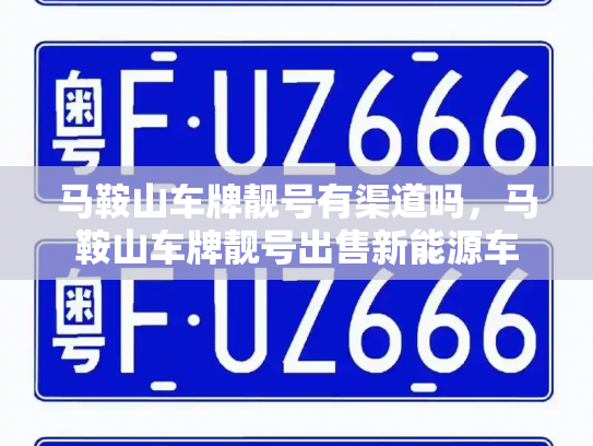 马鞍山车牌靓号有渠道吗,马鞍山车牌靓号出售新能源车-第3张图片-七号汽车选号 马鞍山车牌靓号有渠道吗,马鞍山车牌靓号出售新能源车-第3张图片-七号汽车选号