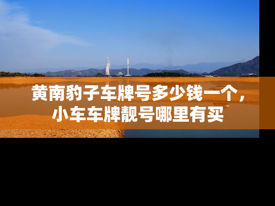 黄南豹子车牌号多少钱一个，小车车牌靓号哪里有买