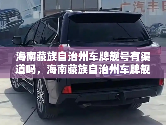 海南藏族自治州车牌靓号有渠道吗,海南藏族自治州车牌靓号出售新能源车-第2张图片-七号汽车选号 海南藏族自治州车牌靓号有渠道吗,海南藏族自治州车牌靓号出售新能源车-第2张图片-七号汽车选号