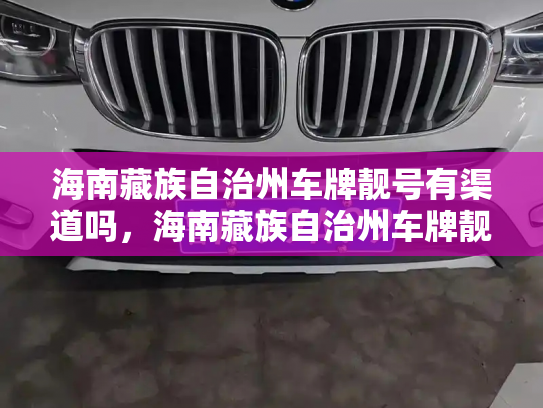 海南藏族自治州车牌靓号有渠道吗,海南藏族自治州车牌靓号出售新能源车-第3张图片-七号汽车选号 海南藏族自治州车牌靓号有渠道吗,海南藏族自治州车牌靓号出售新能源车-第3张图片-七号汽车选号