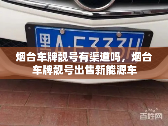 烟台车牌靓号有渠道吗,烟台车牌靓号出售新能源车-第2张图片-七号汽车选号 烟台车牌靓号有渠道吗,烟台车牌靓号出售新能源车-第2张图片-七号汽车选号