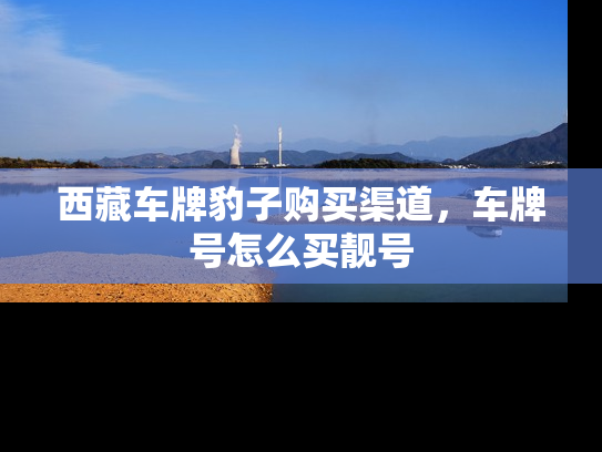 西藏车牌豹子购买渠道，车牌号怎么买靓号