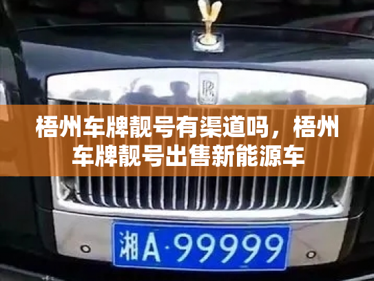 梧州车牌靓号有渠道吗，梧州车牌靓号出售新能源车-第3张图片-七号汽车选号