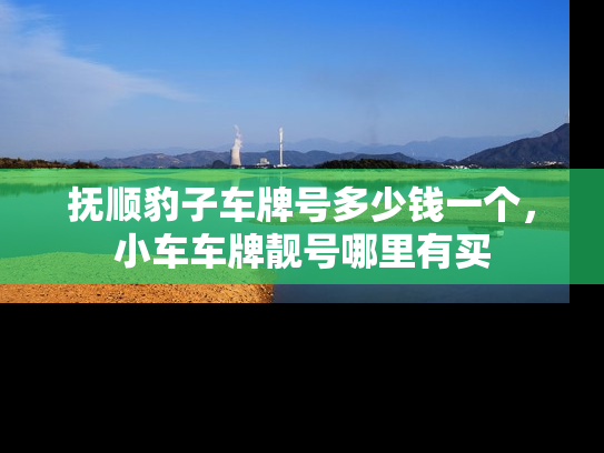 抚顺豹子车牌号多少钱一个，小车车牌靓号哪里有买
