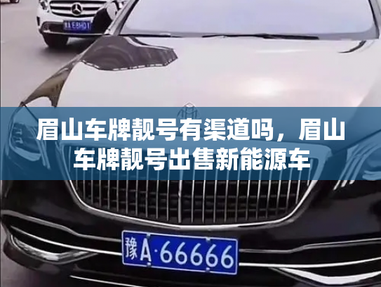 眉山车牌靓号有渠道吗，眉山车牌靓号出售新能源车-第2张图片-七号汽车选号