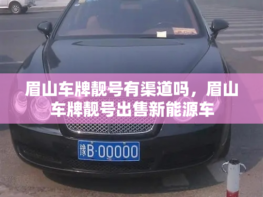 眉山车牌靓号有渠道吗，眉山车牌靓号出售新能源车-第3张图片-七号汽车选号