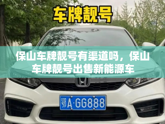 保山车牌靓号有渠道吗，保山车牌靓号出售新能源车-第2张图片-七号汽车选号