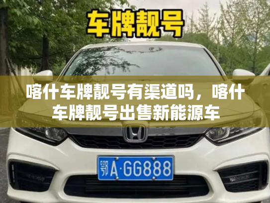 喀什车牌靓号有渠道吗，喀什车牌靓号出售新能源车-第3张图片-七号汽车选号