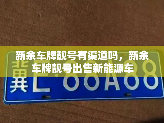 新余车牌靓号有渠道吗,新余车牌靓号出售新能源车-第2张图片-七号汽车选号 新余车牌靓号有渠道吗,新余车牌靓号出售新能源车-第2张图片-七号汽车选号