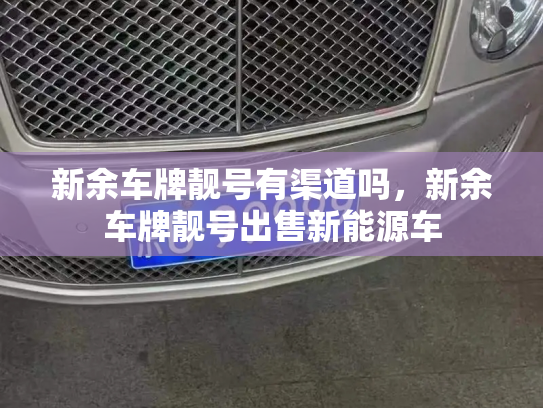 新余车牌靓号有渠道吗,新余车牌靓号出售新能源车-第3张图片-七号汽车选号 新余车牌靓号有渠道吗,新余车牌靓号出售新能源车-第3张图片-七号汽车选号