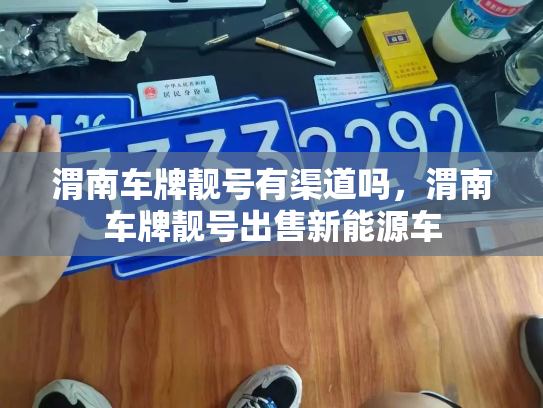 渭南车牌靓号有渠道吗，渭南车牌靓号出售新能源车-第3张图片-七号汽车选号