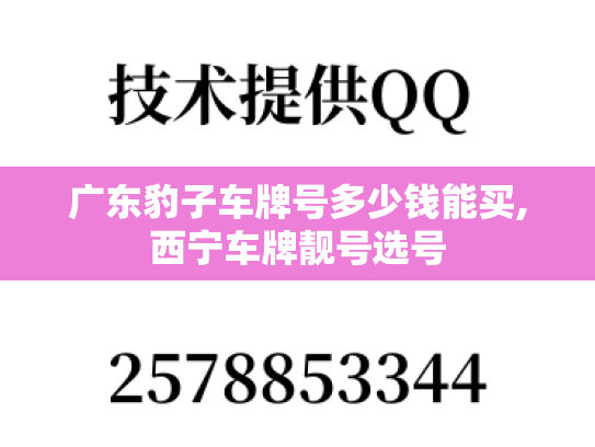 广东豹子车牌号多少钱能买,西宁车牌靓号选号