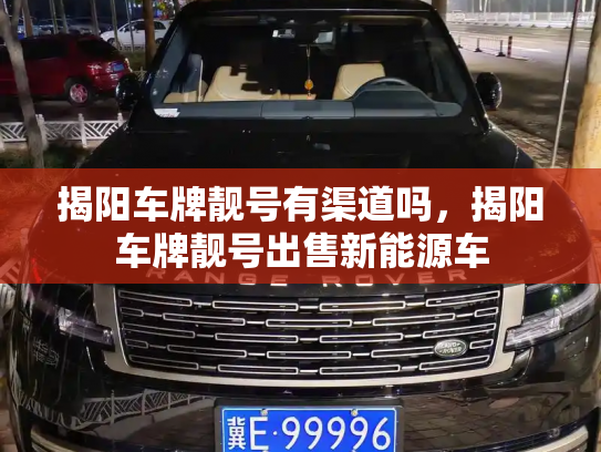 揭阳车牌靓号有渠道吗,揭阳车牌靓号出售新能源车-第2张图片-七号汽车选号 揭阳车牌靓号有渠道吗,揭阳车牌靓号出售新能源车-第2张图片-七号汽车选号
