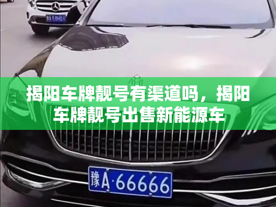 揭阳车牌靓号有渠道吗,揭阳车牌靓号出售新能源车-第3张图片-七号汽车选号 揭阳车牌靓号有渠道吗,揭阳车牌靓号出售新能源车-第3张图片-七号汽车选号